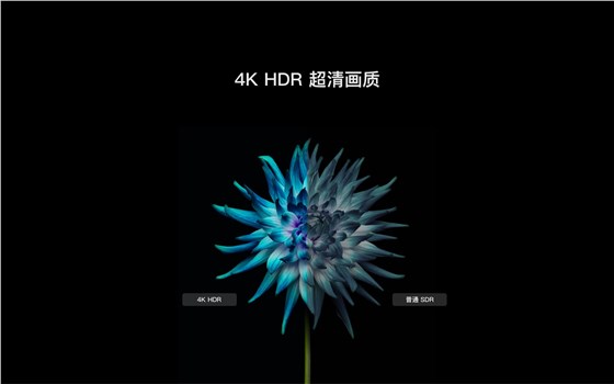 MAXHUB 85英寸商显屏.jpg